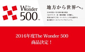 The Wonder 500